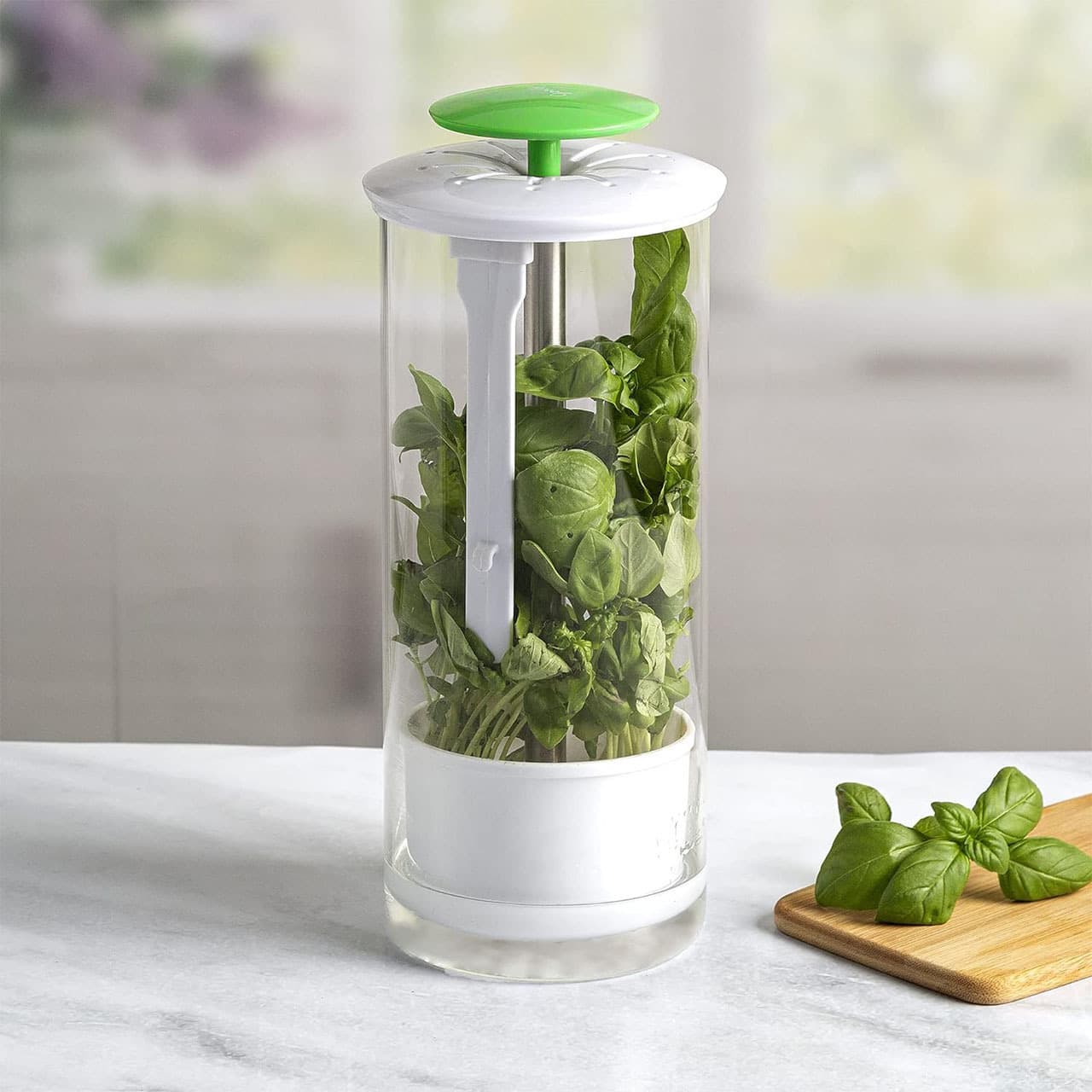 Green Herb Savor & Freshness Keeper - Extends Life of Herbs, Cilantro