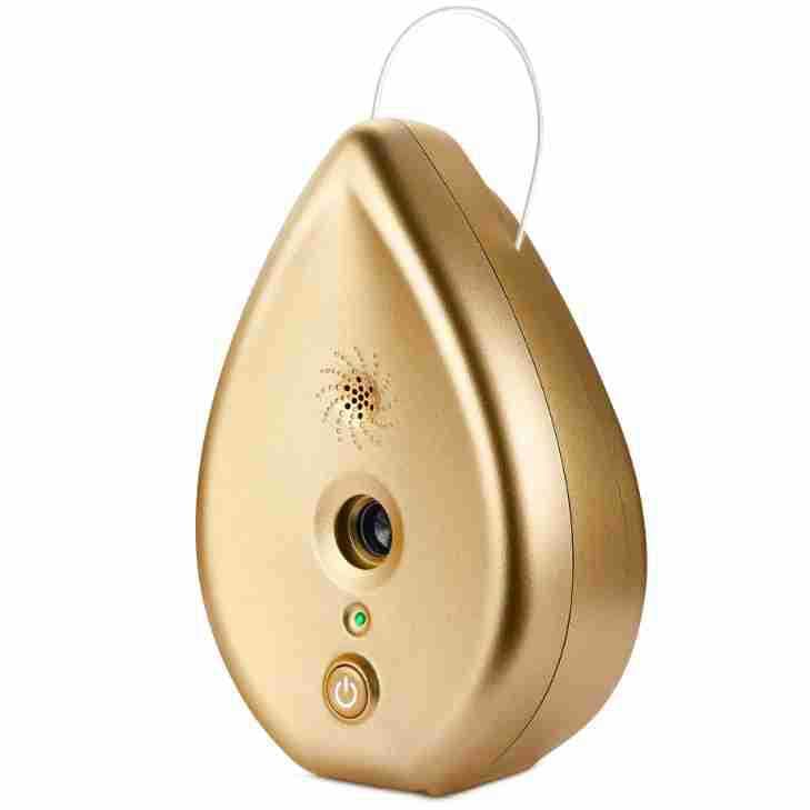 Automatic Ultrasonic Dog Bark Deterrent - Up to 50ft Range, Safe - Gold