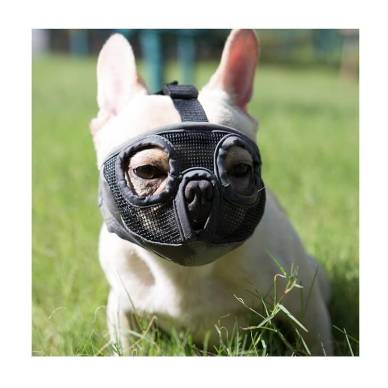 Black Adjustable Breathable Mesh Dog Muzzle for Short-Nosed Breeds (Size L)