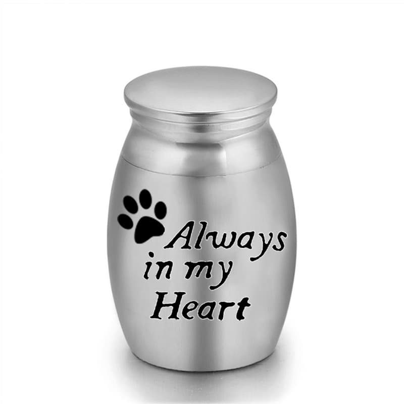 6-Pack 25x16mm "Always in My Heart" Paw Print Pet Urn - Steel Ashes Keepsake