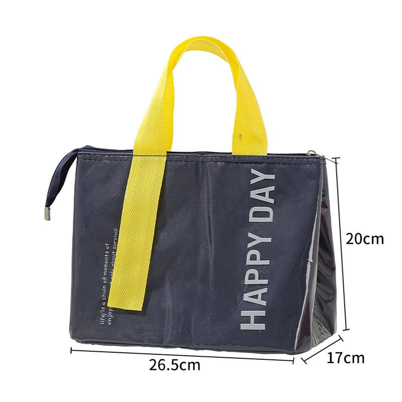 2-Pack Navy Blue Dopamine Color Block Insulated Lunch Bag - Large Capacity