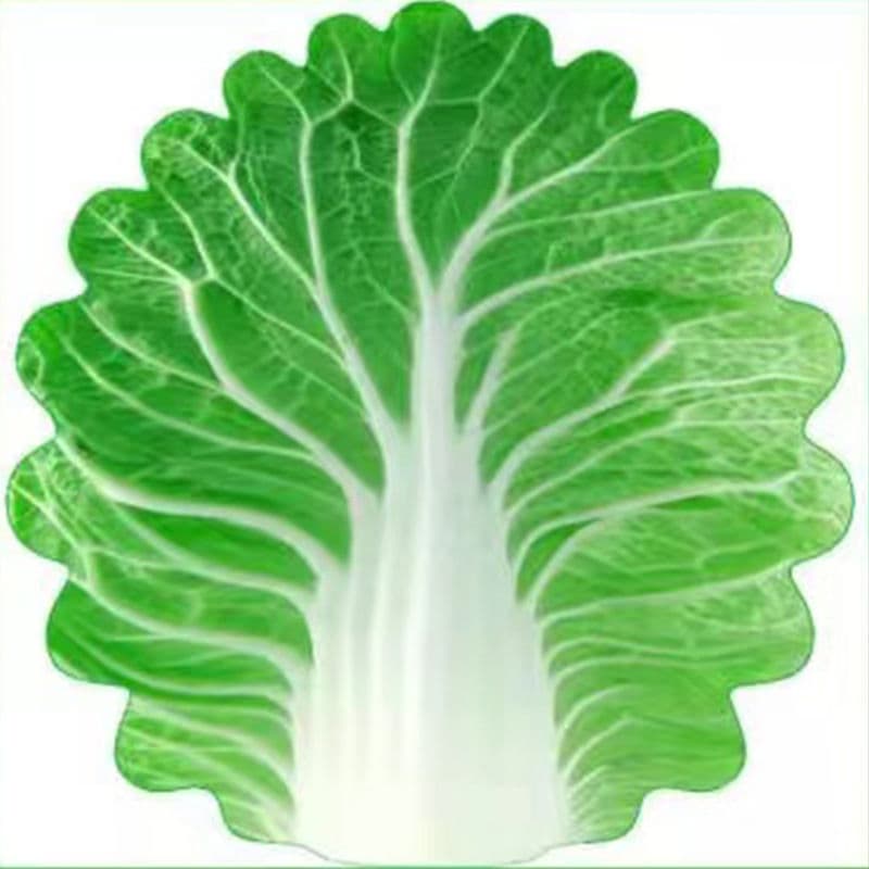 Cabbage-Shaped Fleece Blanket - Fun and Cozy Throw for Naps - 100 cm*100 cm