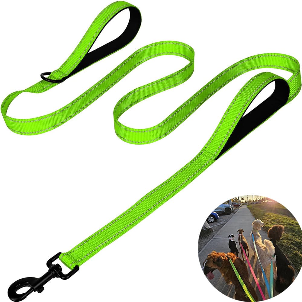 Green 2.5m Heavy Duty Reflective Dog Leash - Double - Green Dog Tightly