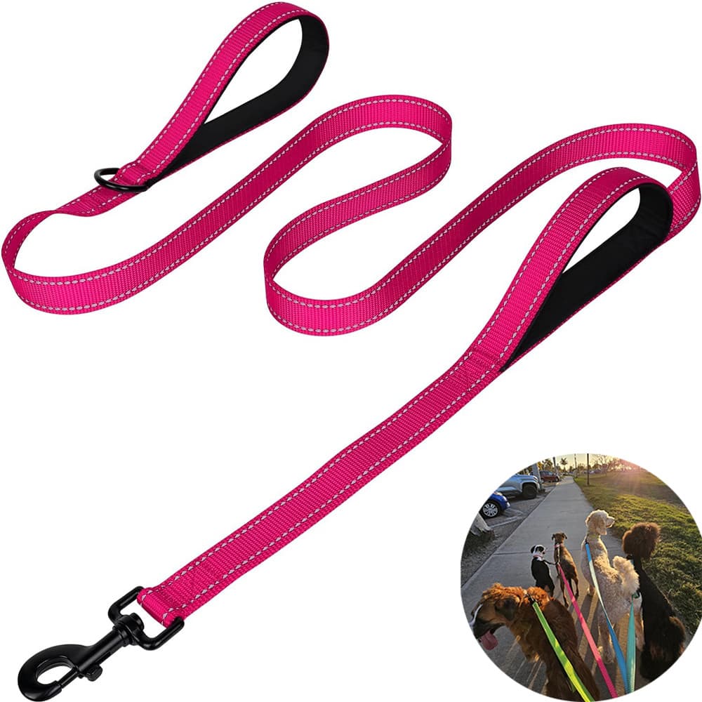 Rose Red 2.5m Heavy Duty Reflective Dog Leash - Double - Rose Red Double