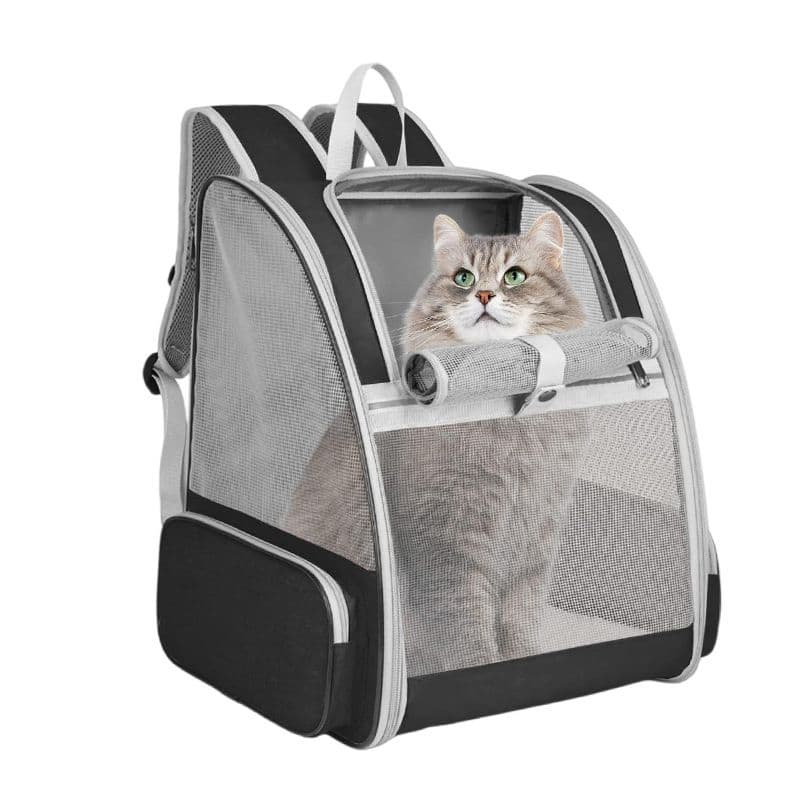 Black Breathable Pet Carrier Backpack - 35 × 29 × 41 cm Oxford Fabric Travel