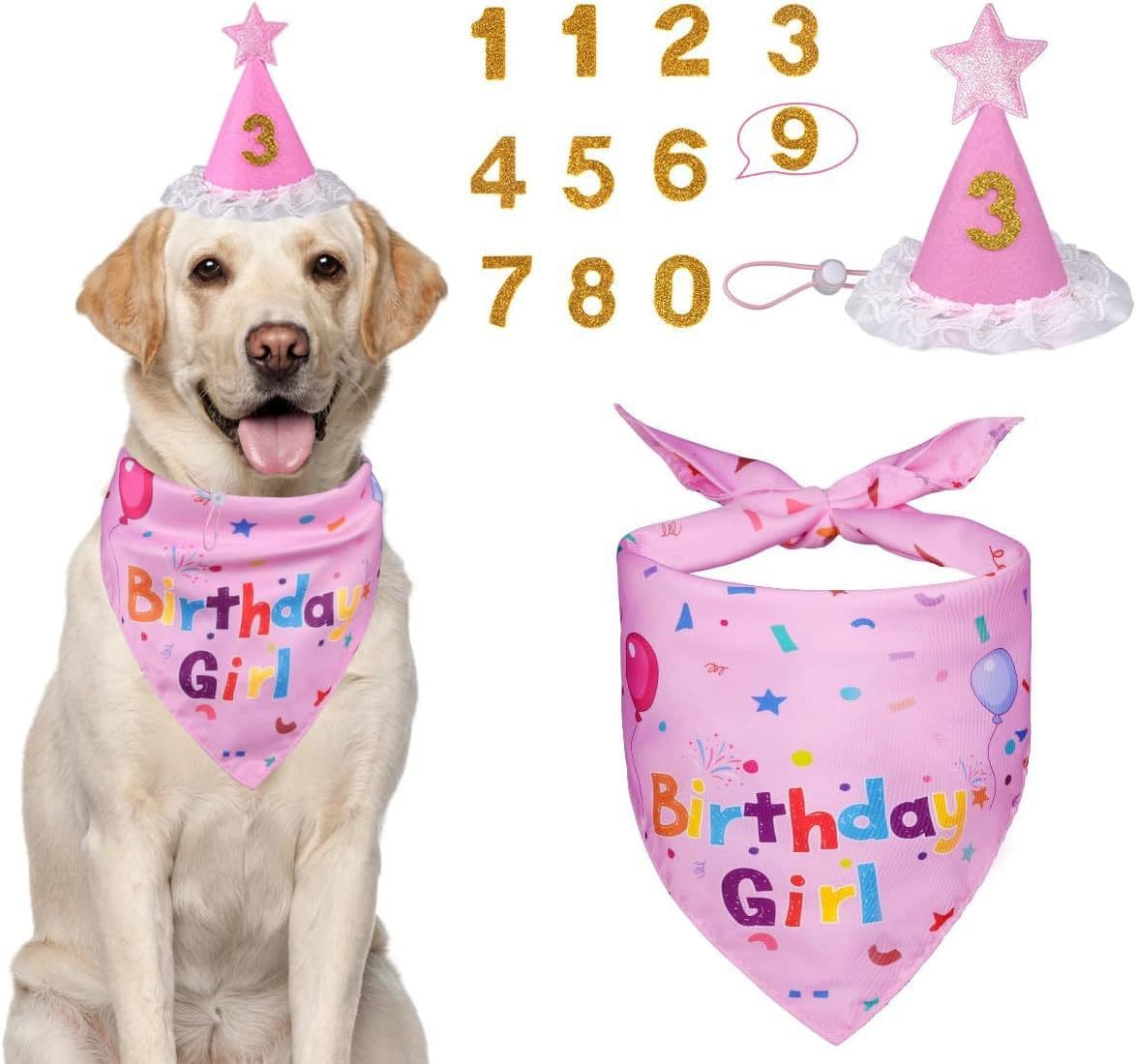 Pink Pet Birthday Bandana and Hat Set - Soft Cotton, Double-Sided Print
