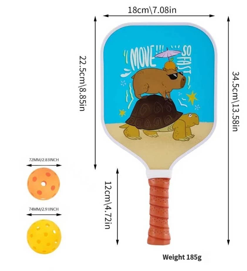 Fiberglass Pickleball Paddle 2-Piece Set with 4 Balls and Carry Bag - RT-015