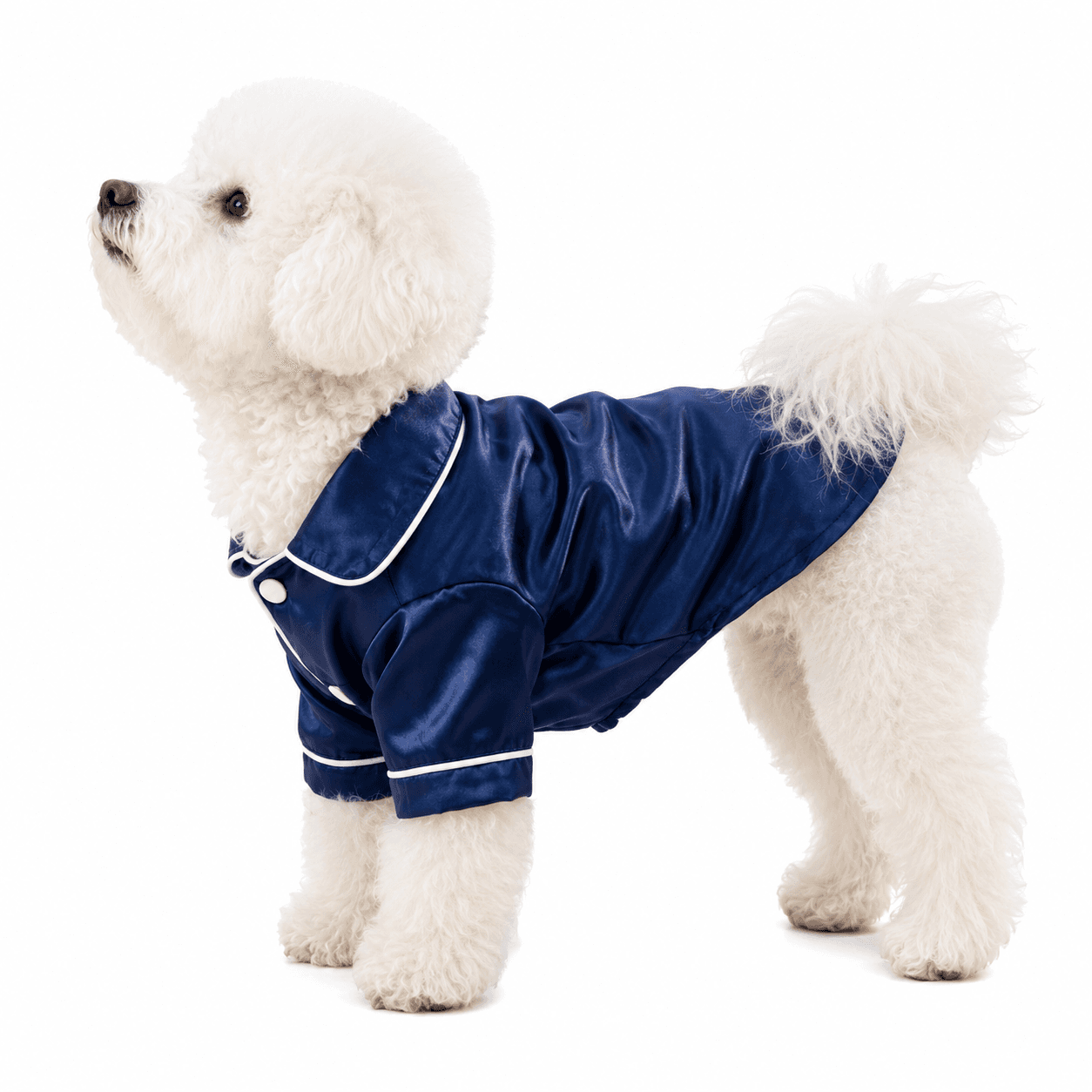Blue Pet Pyjamas XS Size- Lightweight Acrylic Dog and Cat Sleepwear, Compact