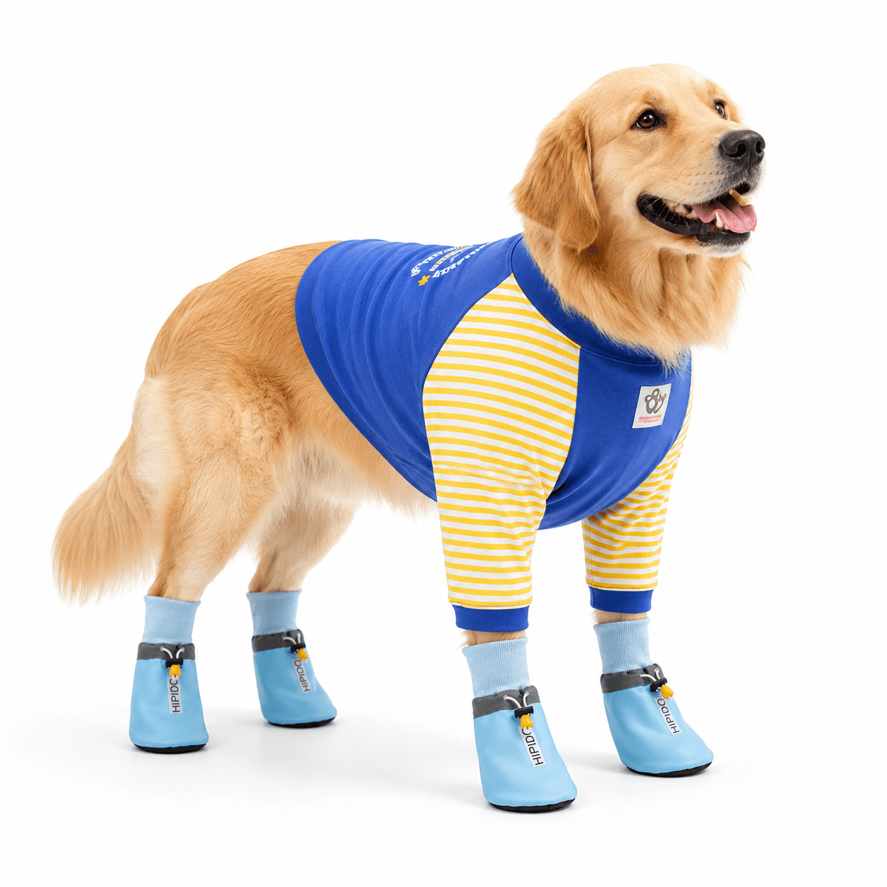 Blue 3XL Size Dog Protective Care Set - Polyester Elbow Sleeve, Adjustable