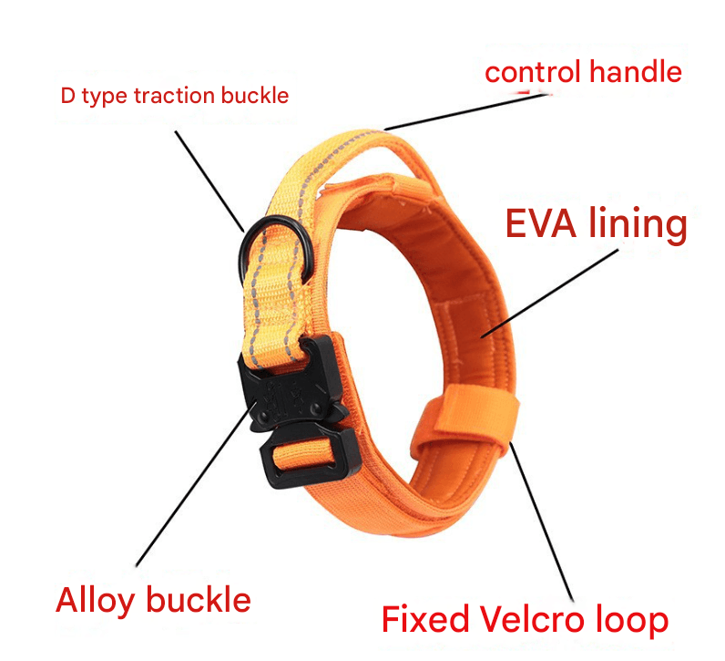 M khaki Hands-Free Dog Leash with Adjustable Waist Belt - Shock Absorbing
