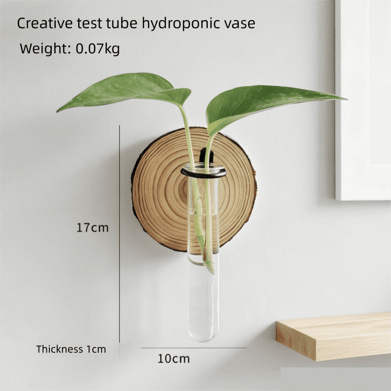 Wall-Mounted Hydroponic Plant Test TubeFlower Pot for Indoor Plants