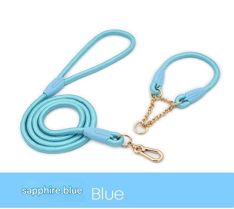 Blue Nylon P-Collar Dog Training Set - Heavy Duty Leash - Size M
