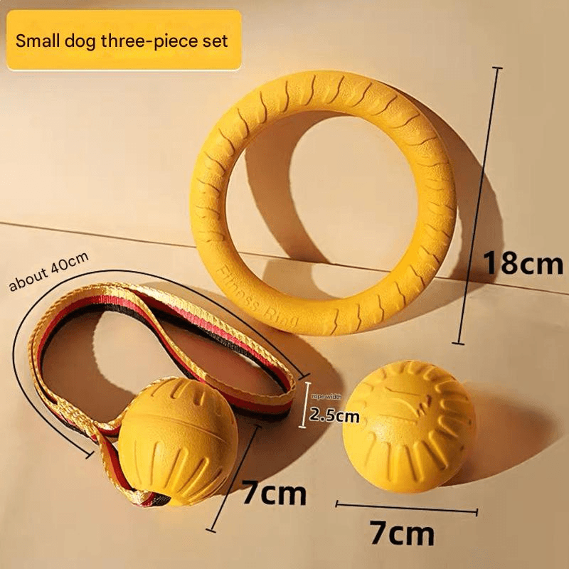 3-Piece Small Dog EVA Floating Dog Ring Toy Set - Interactive - 3 Small