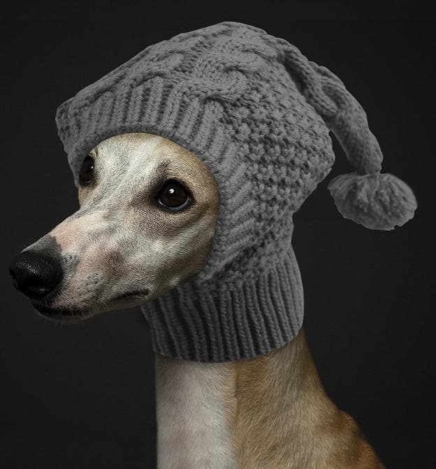 Size S Grey Whimsical Knit Dog Hat with Pom-Pom - Cozy Winter Pet Beanie