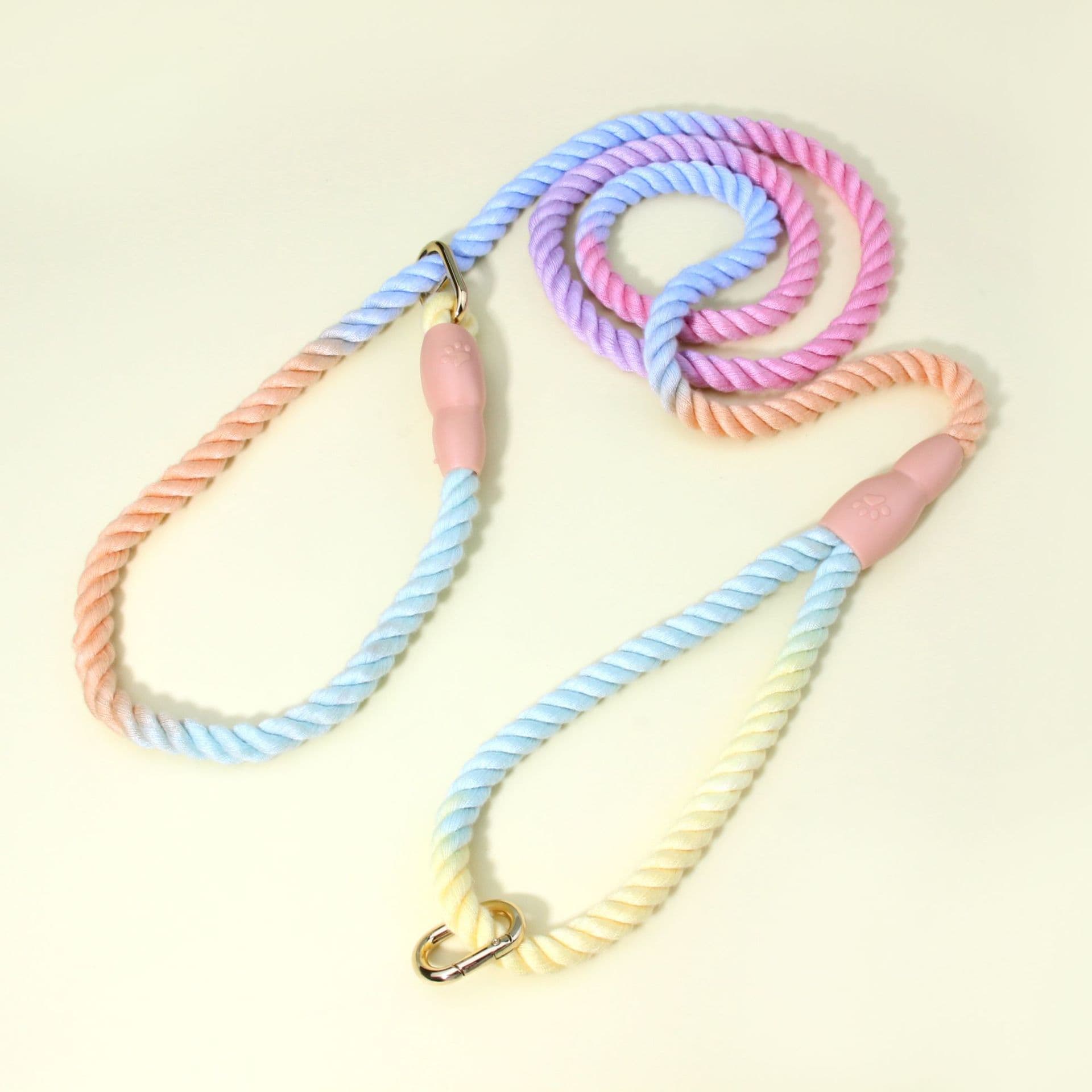 Colorful Vibrant Rainbow Ombre Rope Dog Leash - Nylon P-Chain Slip Lead