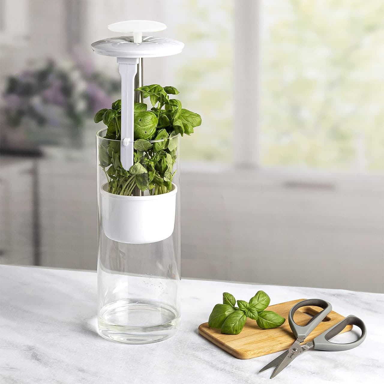 White Herb Savor & Freshness Keeper - Extends Life of Herbs, Cilantro