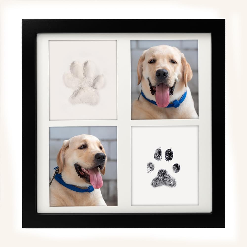 Black and White Pet Paw Print Keepsake Photo Frame Kit - Mess-Free Ink Pad
