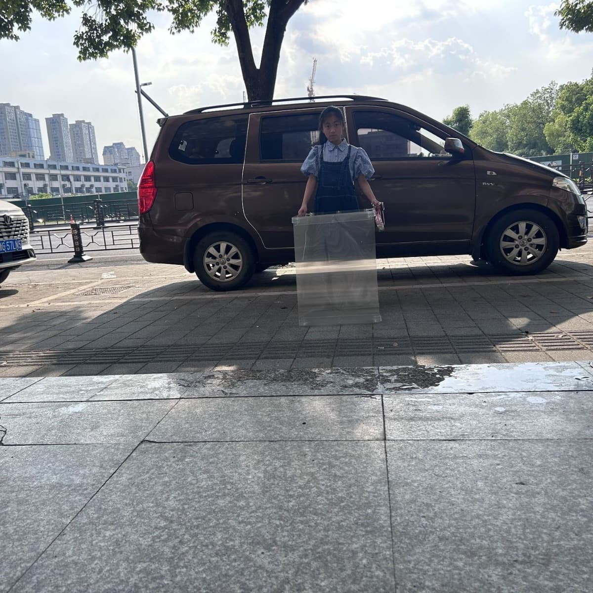 30 × 20 cm Amazing Invisibility Shield Prop - Optical Illusion Lenticular