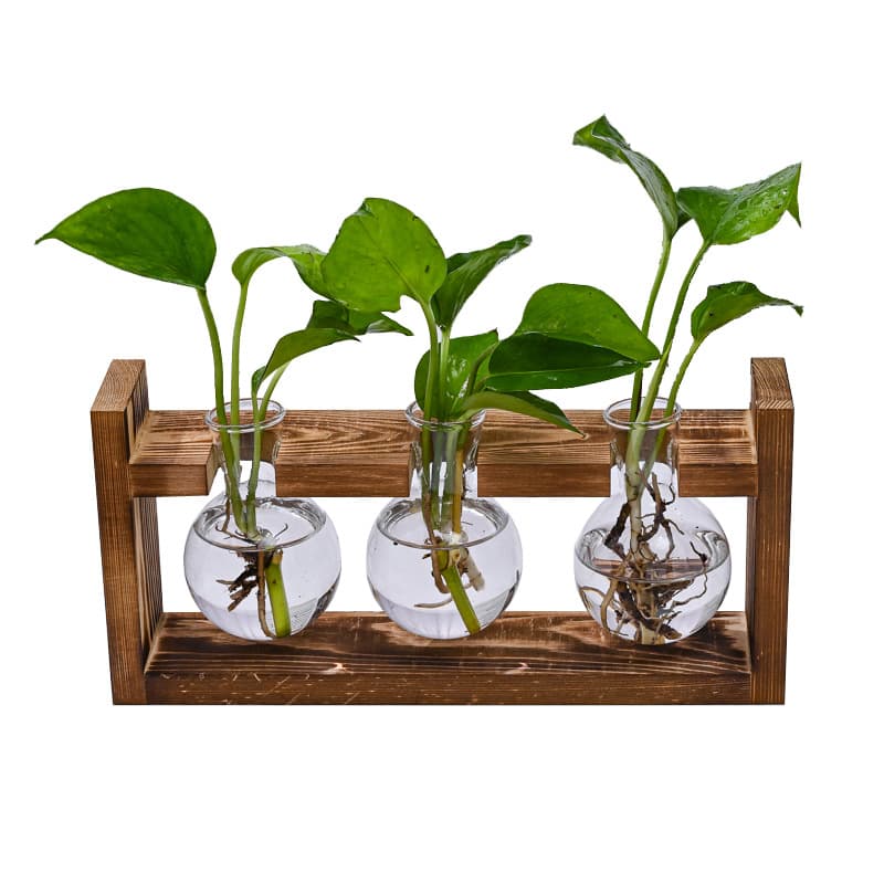 Brown Desktop Plant Propagation Station - Rustic Wooden Stand with 3 Glass