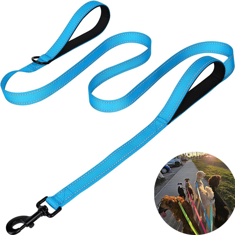 Blue 2.5m Heavy Duty Reflective Dog Leash - Double Padded - Blue Dog Tightly