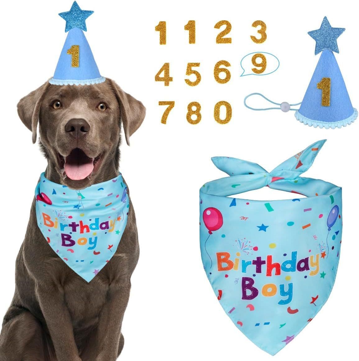 Blue Pet Birthday Bandana and Hat Set - Soft Cotton, Double-Sided Print