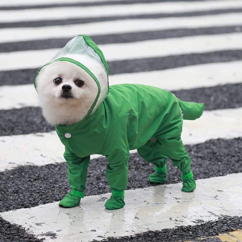 Green S size Full Coverage Pet Raincoat Jumpsuit Waterproof Dog Rain Suit