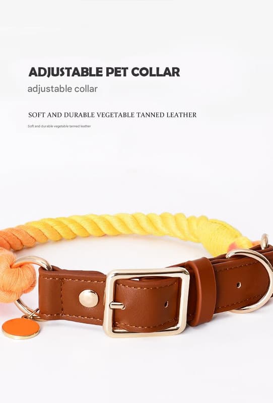 Leather Pet Collar and Leash - Soft, Strong Braided Rope (Wine red - Size L)