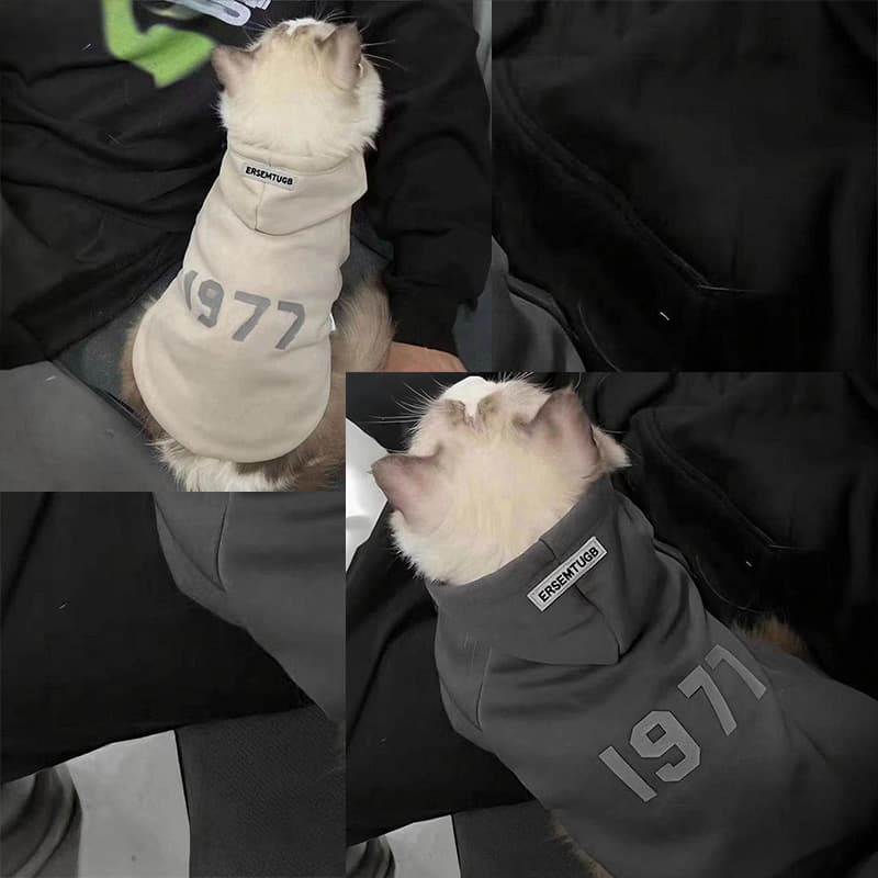 2-Pack S sizeTrendy Pet Hoodie with "1977" Print - Warm Winter Wear for Cats