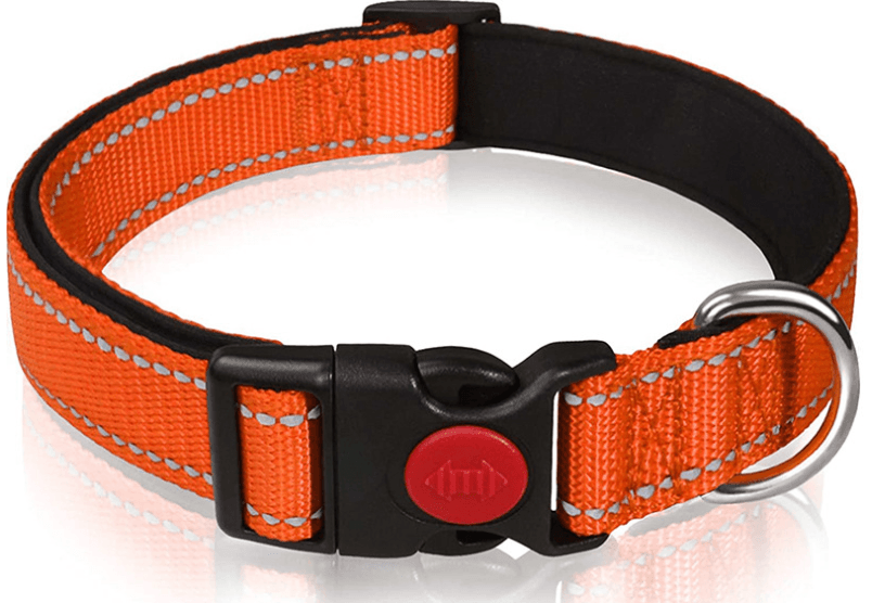 Orange 5-Piece Tactical Reflective Dog Collar - Orange Dog