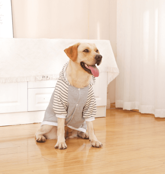Autumn/Winter Dog Clothes - Grey Hoodie with Striped Hood - Size - 4XL